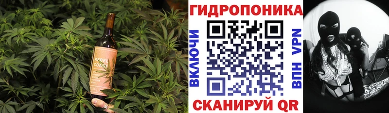 Canna-Cookies марихуана  Ворсма 