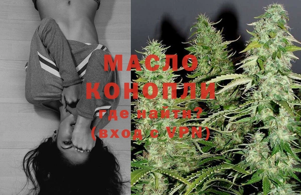 mix Богородицк