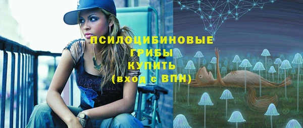 молекула духа Бронницы