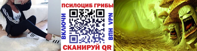 Псилоцибиновые грибы GOLDEN TEACHER  Ворсма 